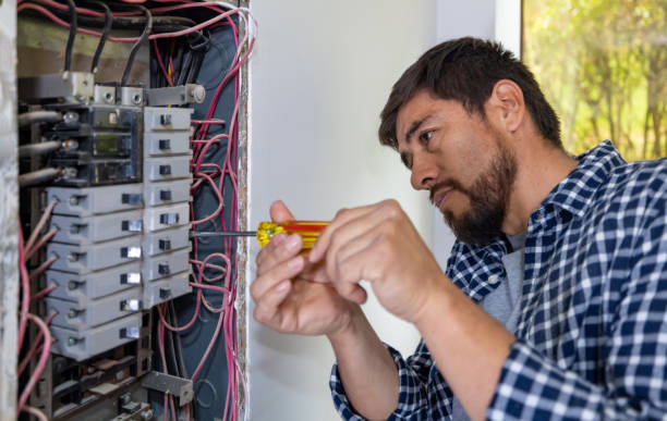 Best Generator Installation Services  in Lathrop, MO